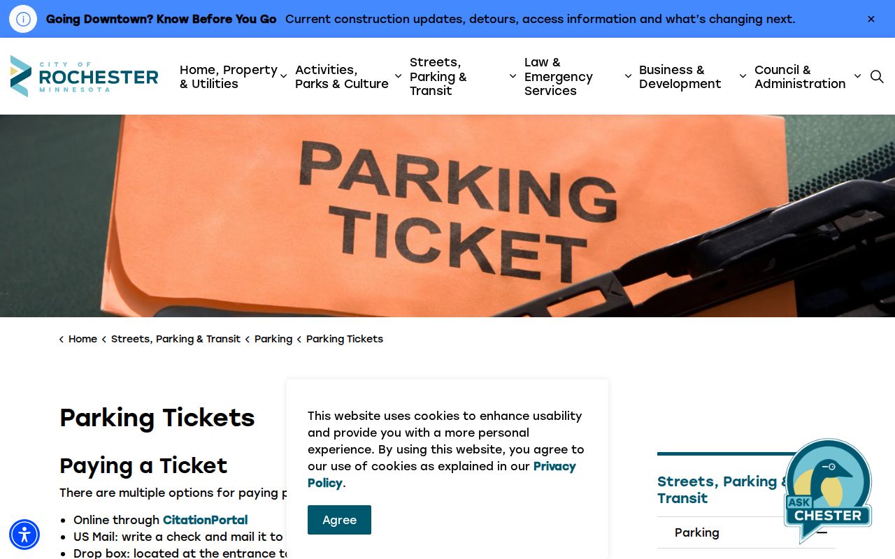 Olmsted County warrant records parking citation page for the city of Rochester