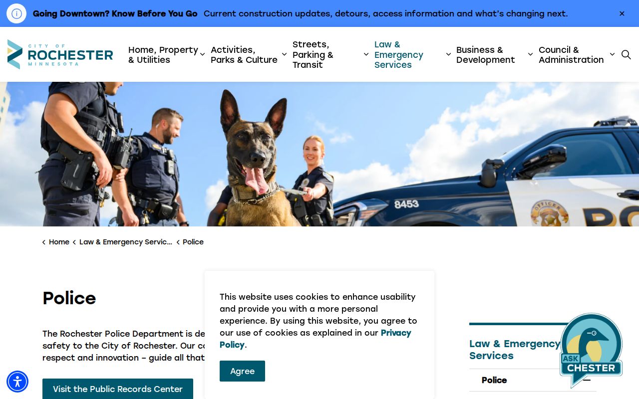Olmsted County warrant records page for Rochester police and city case routing